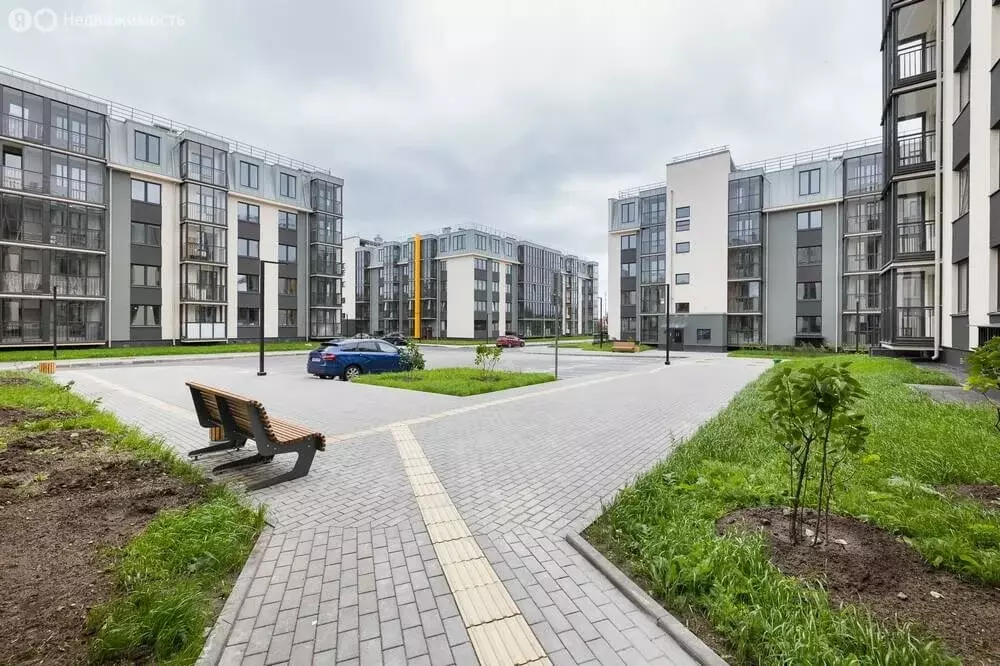 Квартира-студия: Пушкин, Камероновская улица, 14к1 (24 м) - Фото 2