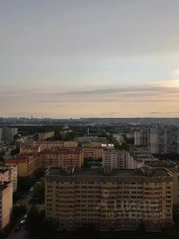 1-к кв. Ленинградская область, Всеволожский район, пос. Бугры ул. ... - Фото 1