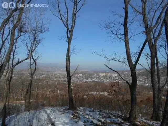 Участок в село Владимиро-Александровское, Южная улица (1000 м) - Фото 0