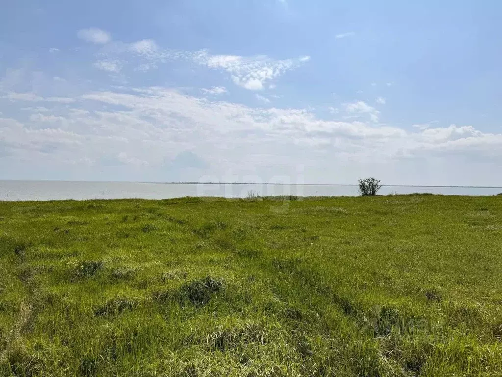 Участок в Ростовская область, Неклиновский район, Лакедемоновское ... - Фото 1