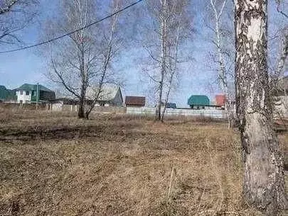 Участок в Алтайский край, Барнаул городской округ, с. Власиха пер. 1-й ... - Фото 1