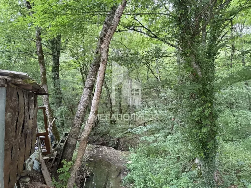 Участок в Краснодарский край, Геленджик городской округ, Широкая Щель ... - Фото 1