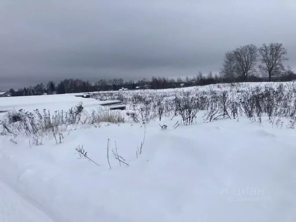 Участок в Нижегородская область, Богородский муниципальный округ, д. ... - Фото 1