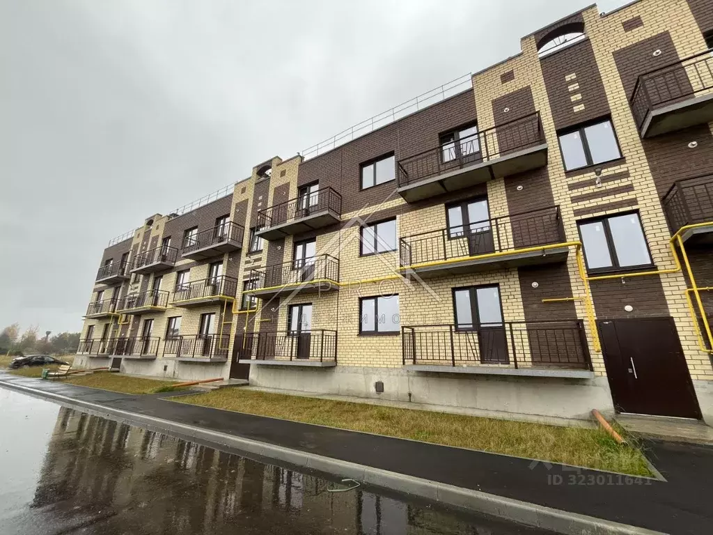 1-к кв. Ярославская область, Ярославский муниципальный округ, пос. ... - Фото 2