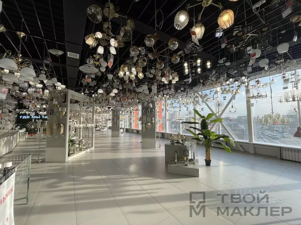 Торговая площадь в Пензенская область, Пенза ул. Измайлова, 28Д (810 ... - Фото 2