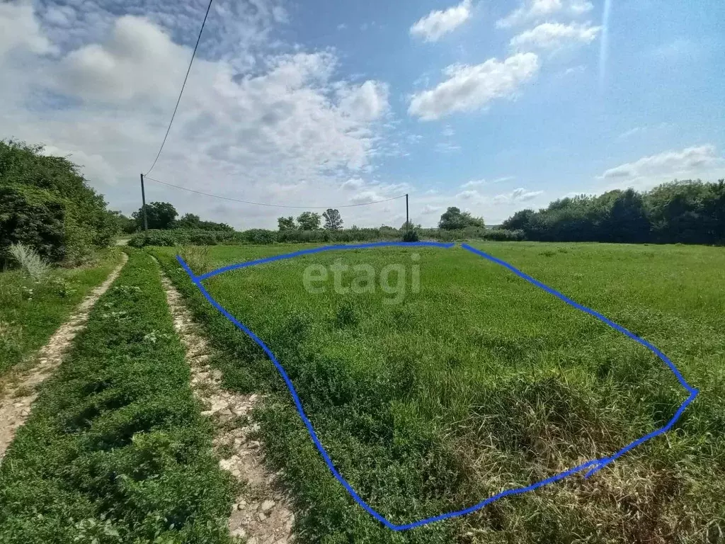 Участок в Белгородская область, Белгородский район, Разумное рп, ... - Фото 1