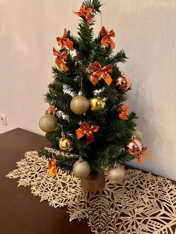 2-к кв. Московская область, Егорьевск ул. Механизаторов, 57к3 (57.0 м) - Фото 2