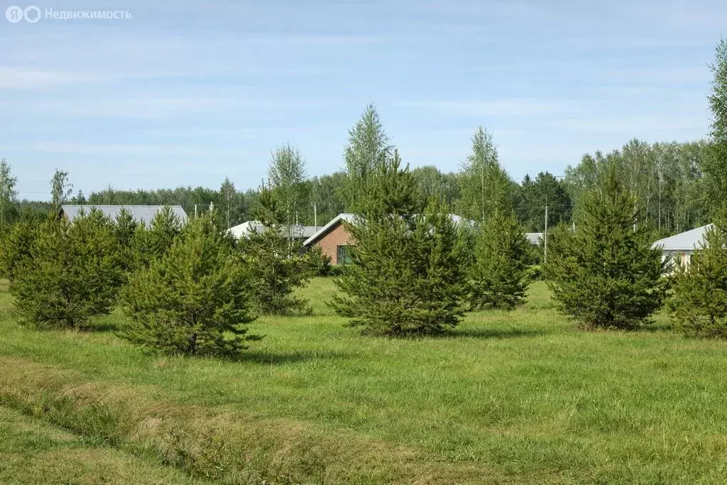 Участок в деревня Пирогово, Главная улица, 31 (8.56 м) - Фото 2
