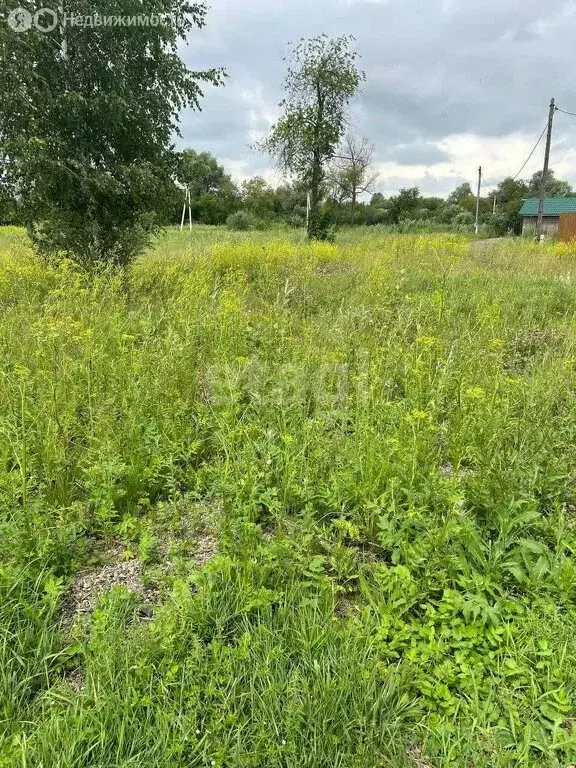 Участок в село Есаулово, микрорайон Лазурные Берега (11.3 м) - Фото 2