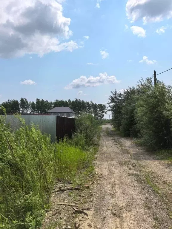 Участок в Хабаровский край, Хабаровский район, с. Мирное Рабочая ул. ... - Фото 1