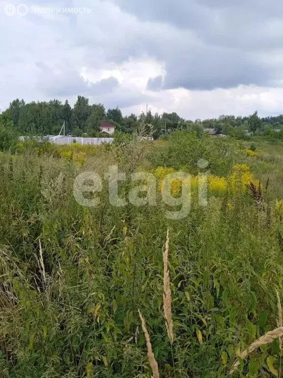 Участок в Щёкинский район, сельское поселение Огарёвское, деревня ... - Фото 2