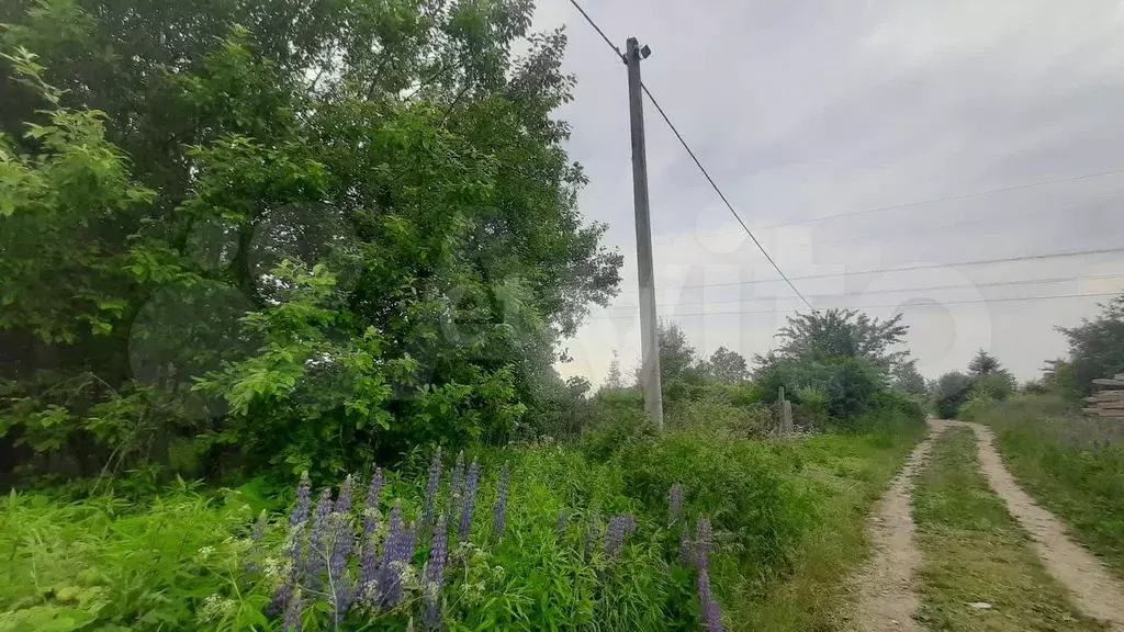 Участок 6,4 сот. (СНТ, ДНП) - Фото 0