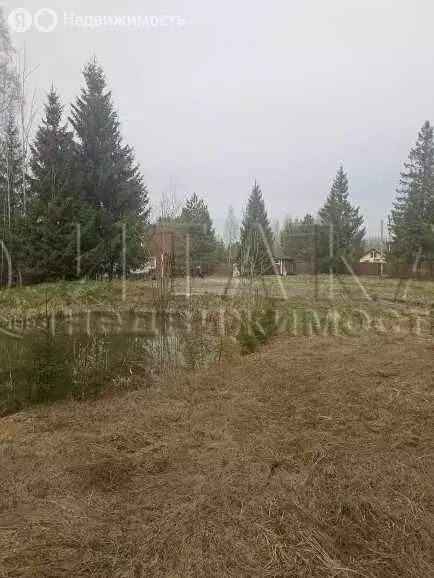 Дом в Нурминское сельское поселение, садоводческий массив Нечеперть, ... - Фото 2