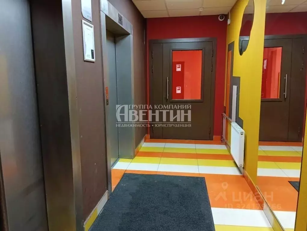 Студия Санкт-Петербург просп. Ветеранов, 171к1 (24.4 м) - Фото 1