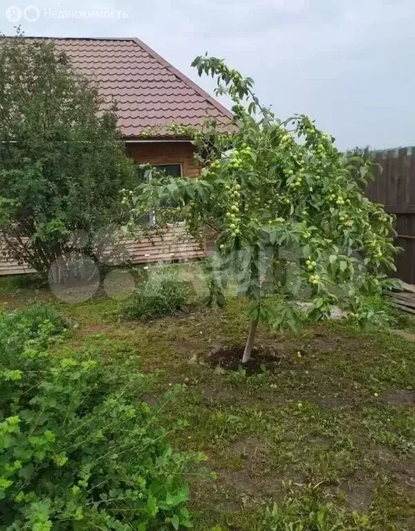 Дом в село Вознесенка, Солнечная улица (70 м) - Фото 0