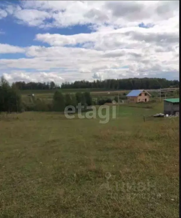 Участок в Новосибирская область, Новосибирский район, с. Раздольное ... - Фото 1