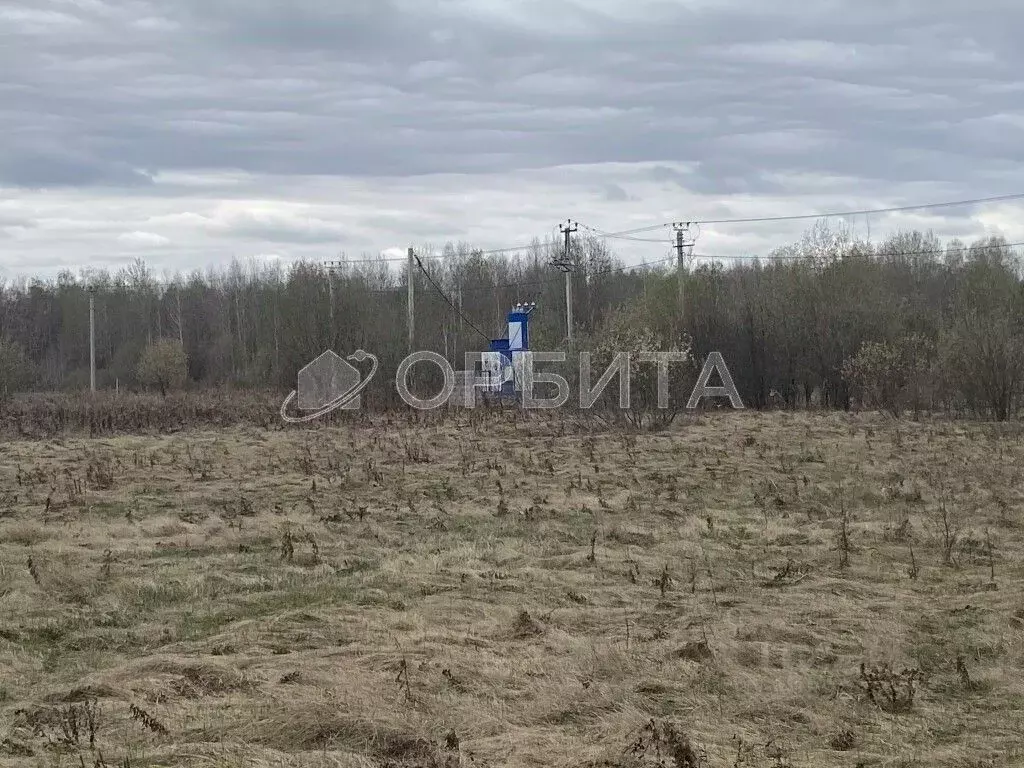 Участок в Тюменская область, Тюменский район, с. Горьковка  (10.0 ... - Фото 1