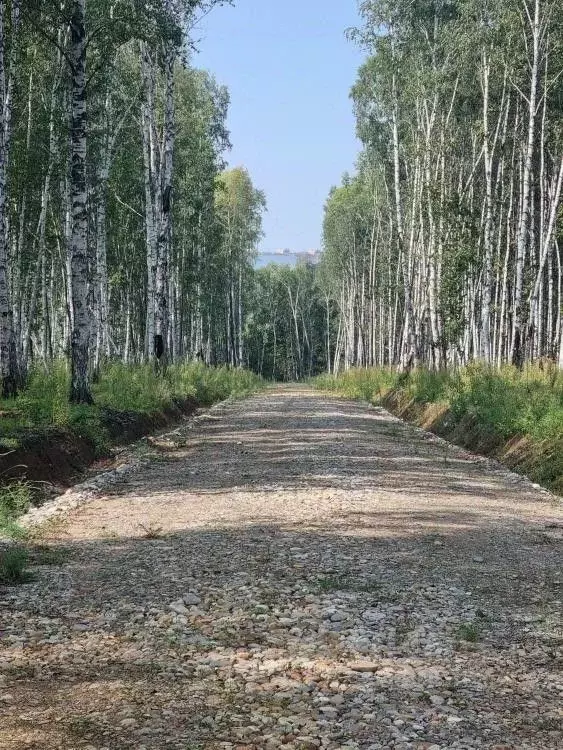 Участок в Иркутская область, Иркутский район, Молодежное муниципальное ... - Фото 1