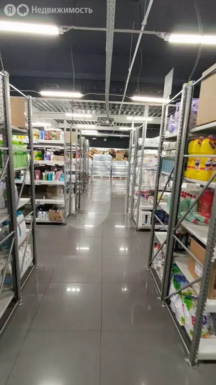 Офис (1500 м) - Фото 2