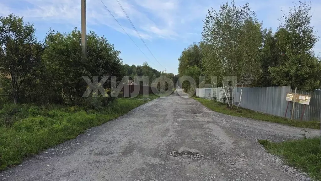 Участок в Новосибирская область, Новосибирский район, Барышевский ... - Фото 1