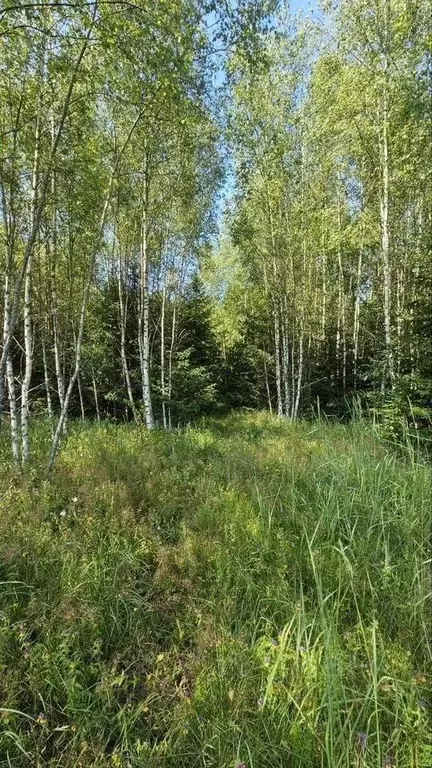 Участок в Московская область, Павлово-Посадский городской округ, д. ... - Фото 1