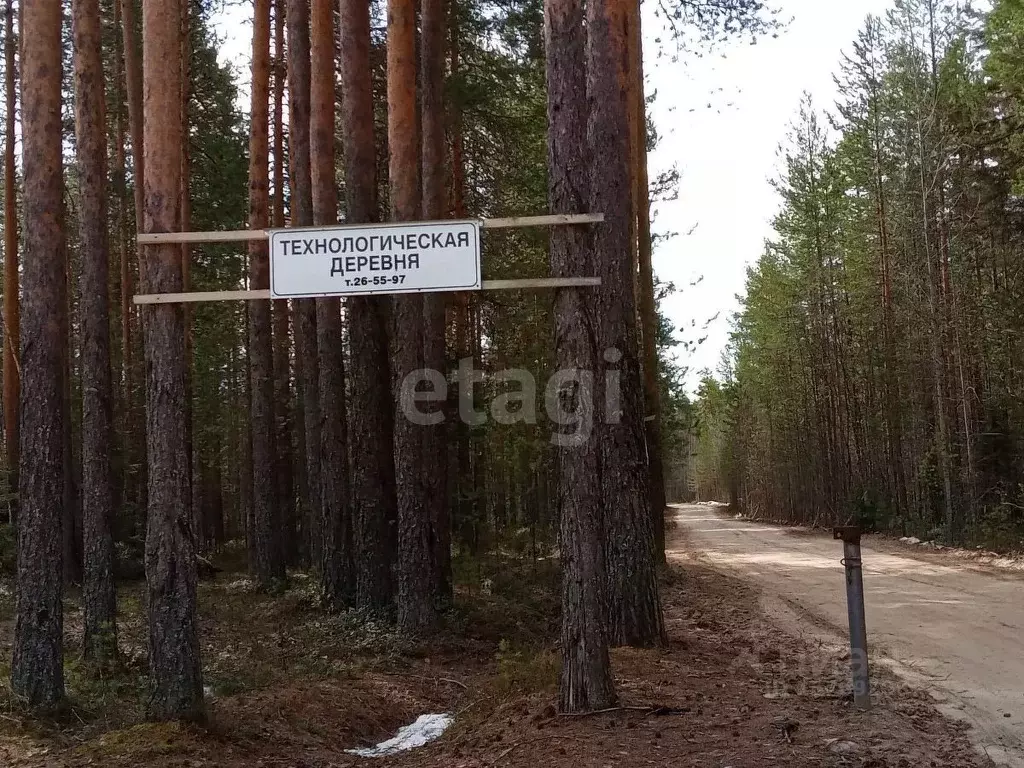 Участок в Коми, Сыктывкар городской округ, Верхняя Максаковка пгт ул. ... - Фото 0