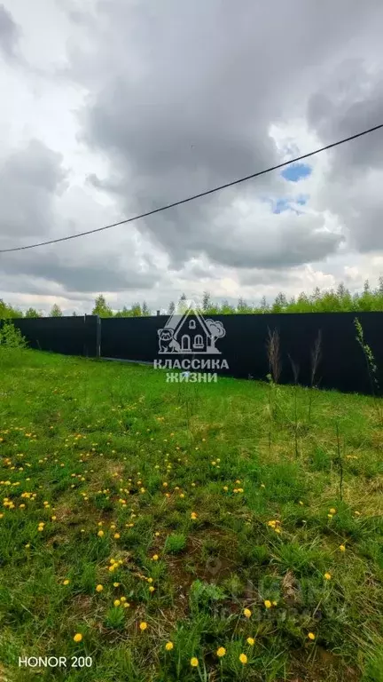 Участок в Нижегородская область, Богородский муниципальный округ, д. ... - Фото 1