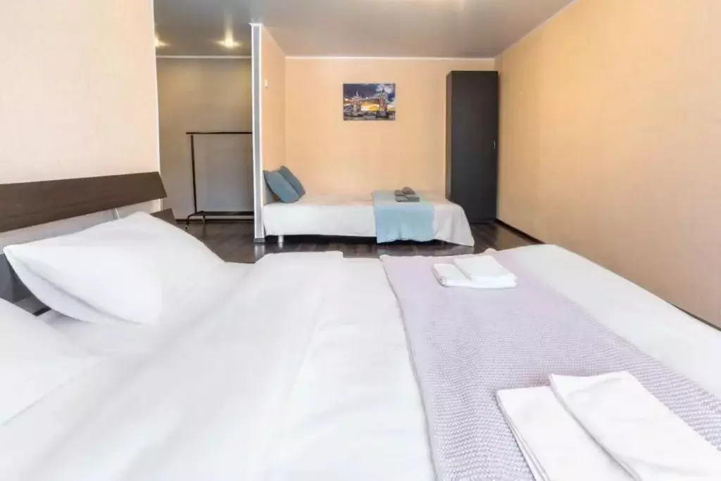 1-к кв. Новосибирская область, Новосибирск ул. Гоголя, 27А (31.0 м) - Фото 2