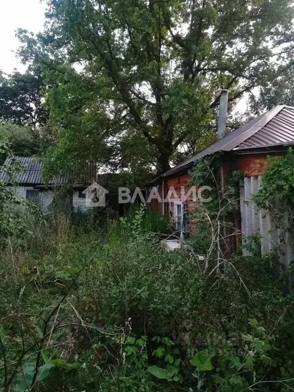 Дом в Воронежская область, Семилукский район, с. Землянск ул. ... - Фото 1