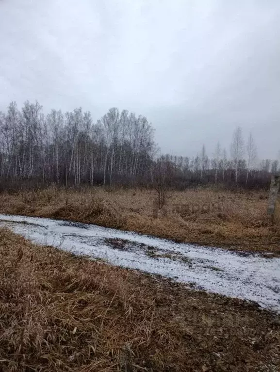 Участок в Челябинская область, Копейск Березка-4 СНТ, 518 (5.89 сот.) - Фото 2