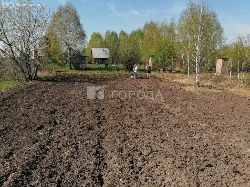 Участок в Новосибирский район, Берёзовский сельсовет, СНТ Аист, 296 (8 ... - Фото 1