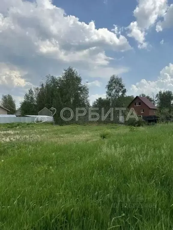Участок в Тюменская область, Тюменский муниципальный округ, Рассвет-1 ... - Фото 1