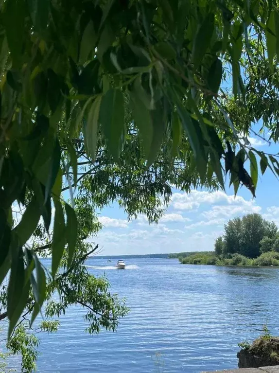 Участок в Московская область, Мытищи городской округ, д. Протасово, ... - Фото 0