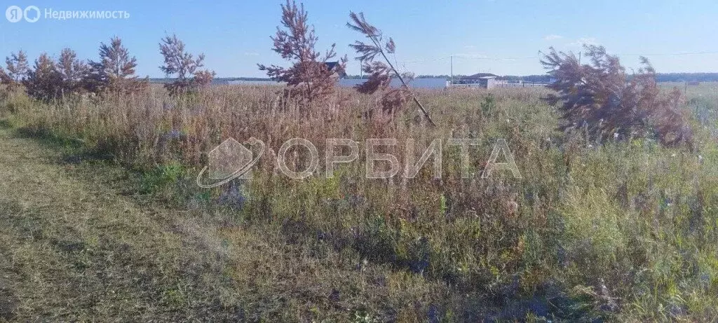 Участок в село Борки, Мехряковская улица (15 м) - Фото 2