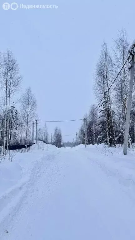 Участок в городской округ Нижний Новгород, деревня Кривая Шелокша (10 ... - Фото 1
