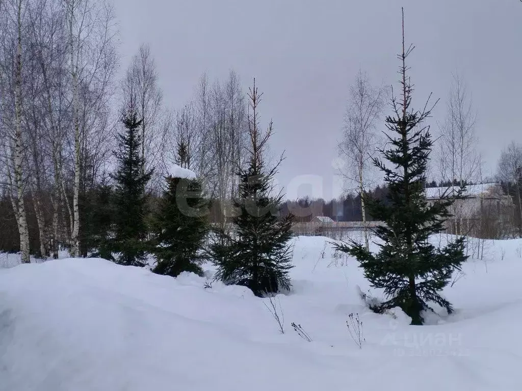 Участок в Москва Солнечная Опушка кп, ул. Русинская Роща (5.0 сот.) - Фото 2