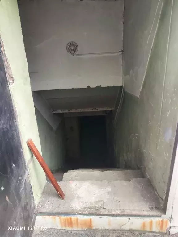 Помещение свободного назначения в Омская область, Омск ул. 12 Декабря, ... - Фото 1