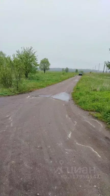 Участок в Ленинградская область, Гатчинский район, д. Выра  (300.0 ... - Фото 0