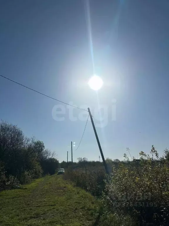 Участок в Новосибирская область, Искитимский район, Мичуринский ... - Фото 1