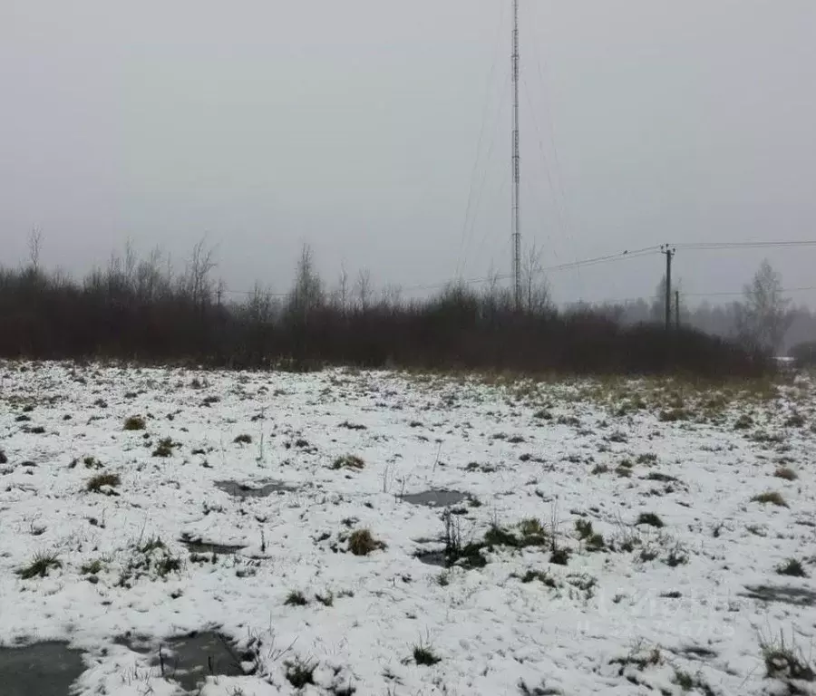 Участок в Московская область, Дмитровский муниципальный округ, д. ... - Фото 0