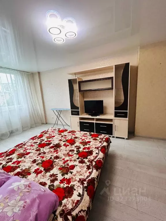 1-к кв. Калининградская область, Калининград Сельма мкр, ул. Виллима ... - Фото 2