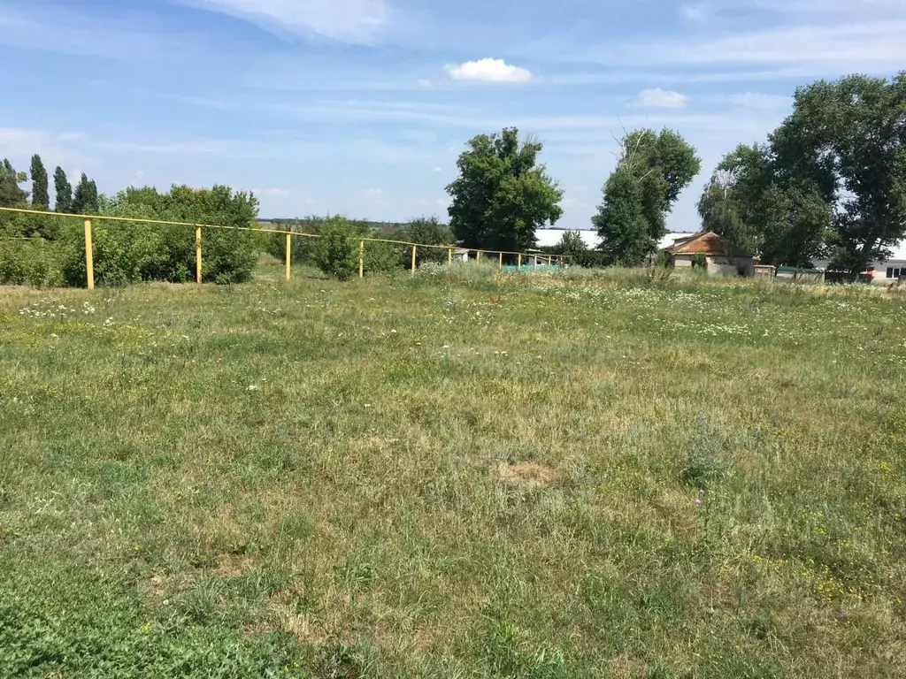 Участок в Воронежская область, Лискинский район, Сторожевское 2-е ... - Фото 1