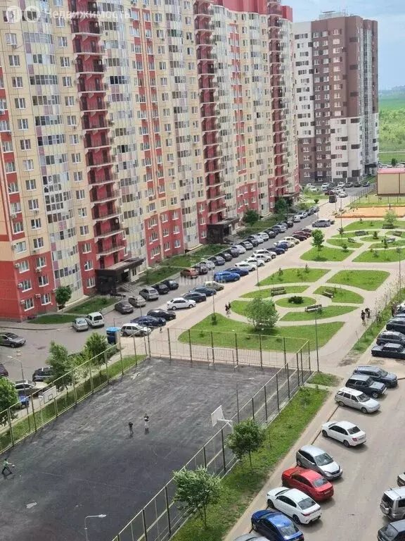 Квартира-студия: посёлок Отрадное, Рубиновая улица, 11 (19.4 м) - Фото 1