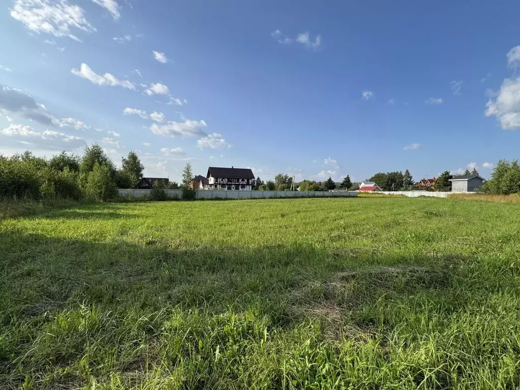 Участок в Нижегородская область, Нижний Новгород д. Горный Борок,  ... - Фото 2