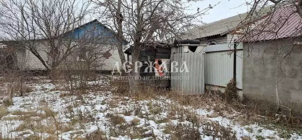 Дом в Белгородская область, Старый Оскол Березовая ул. (34 м) - Фото 2