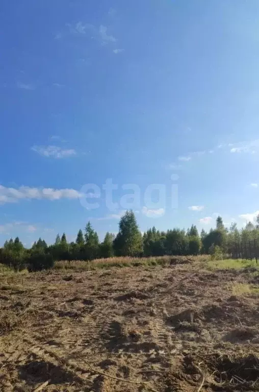 Участок в Смоленская область, д. Черемушки ул. Лесная (225.0 сот.) - Фото 2