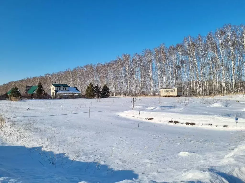 Участок в Омская область, Омский район, с. Усть-Заостровка, Иртышские ... - Фото 0