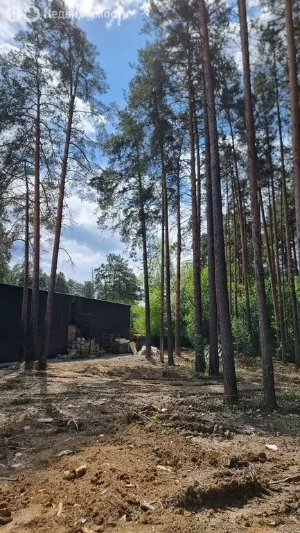 Помещение свободного назначения (70 м) - Фото 1