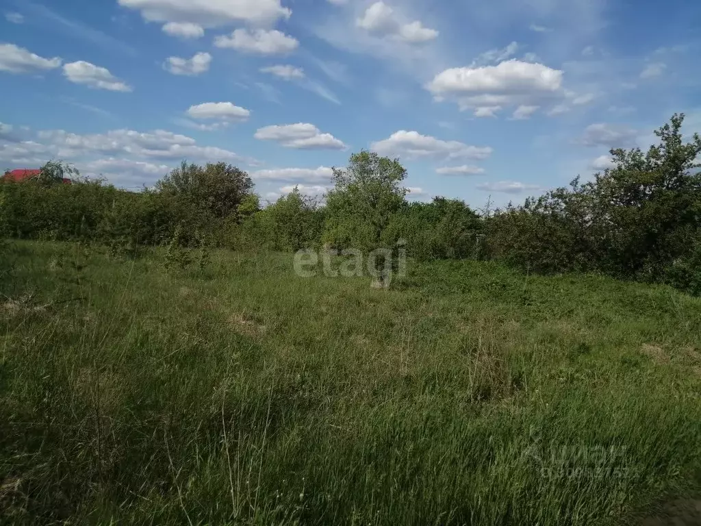 Участок в Воронежская область, с. Верхняя Хава ул. Новая (10.0 сот.) - Фото 0