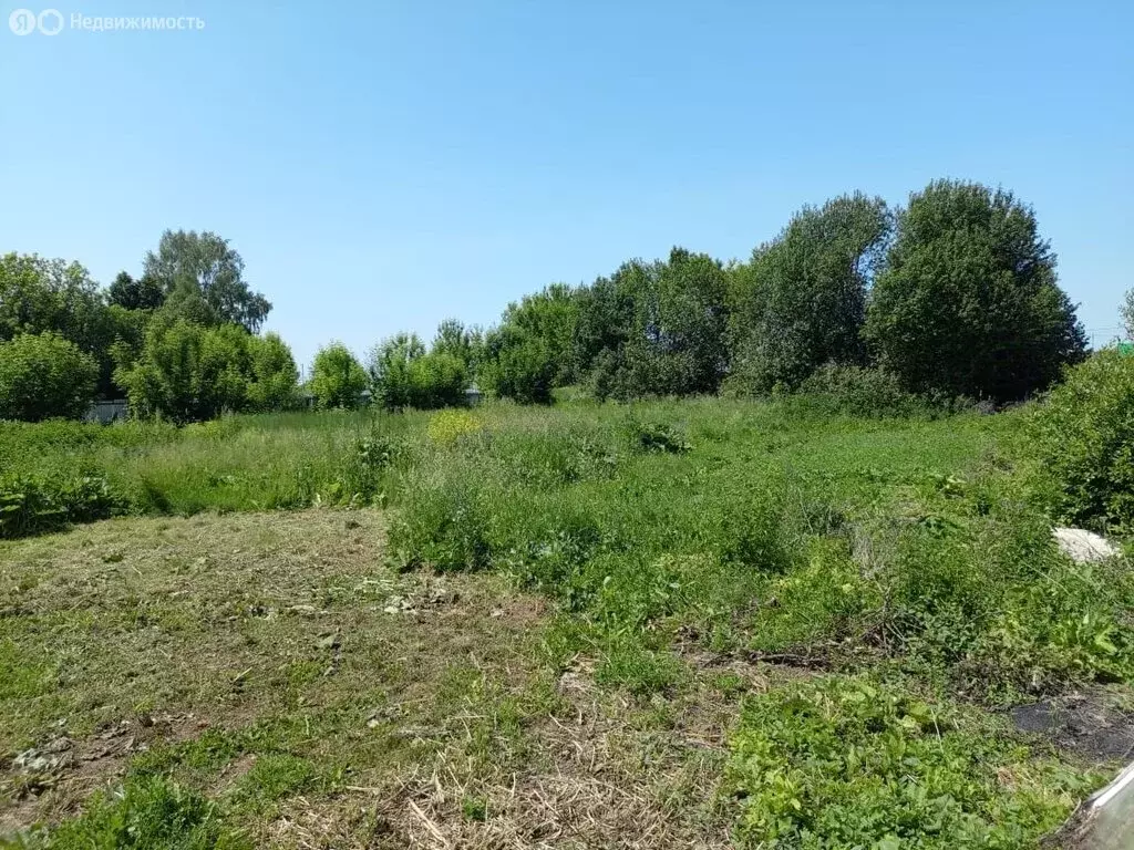 Участок в село Анатыш, Нагорная улица, 11 (20 м) - Фото 1